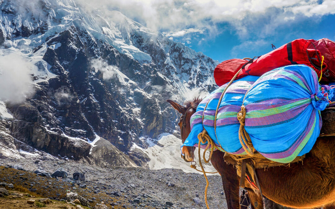 Salkantay Trek vs Inca Trail: Which Trek to Machu Picchu Is Right for You?